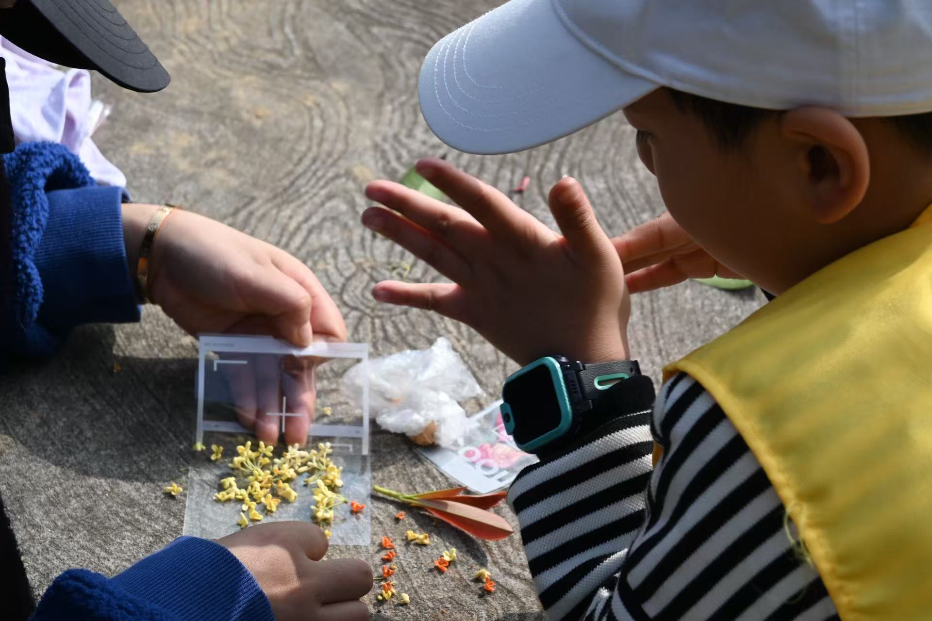 拾趣自然，乐在旷野(图7)