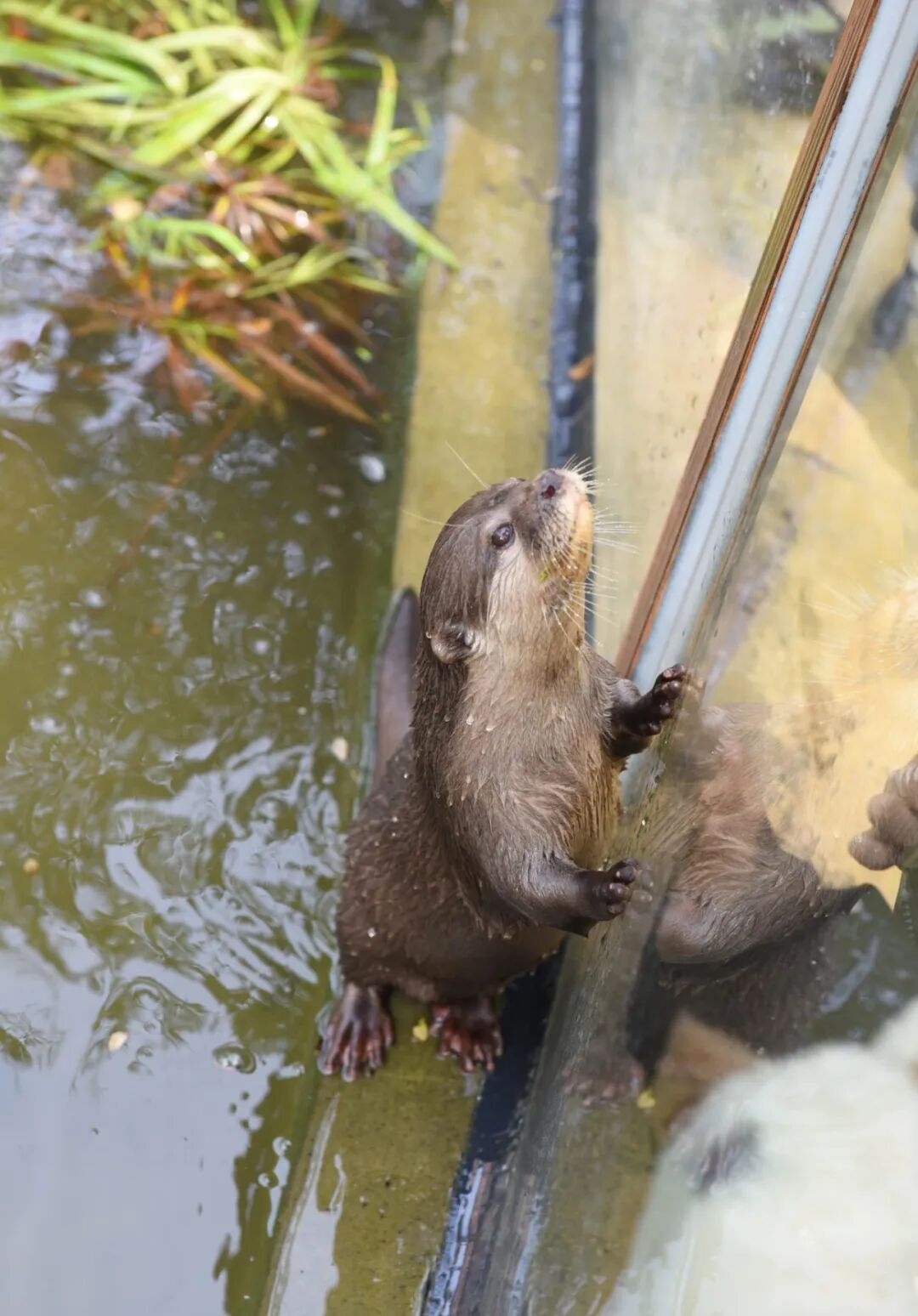 拾趣自然，乐在旷野(图13)