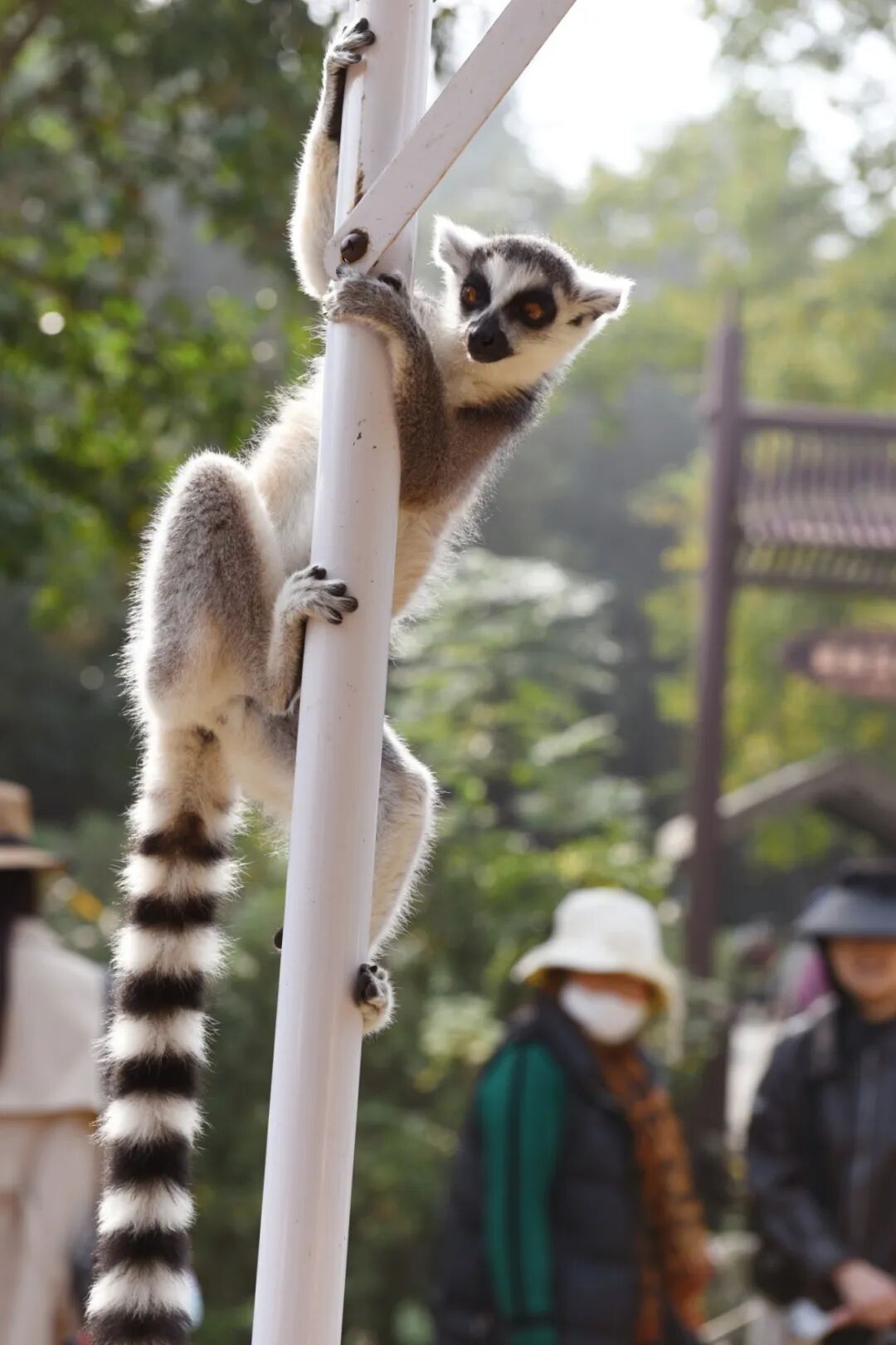 拾趣自然，乐在旷野(图14)