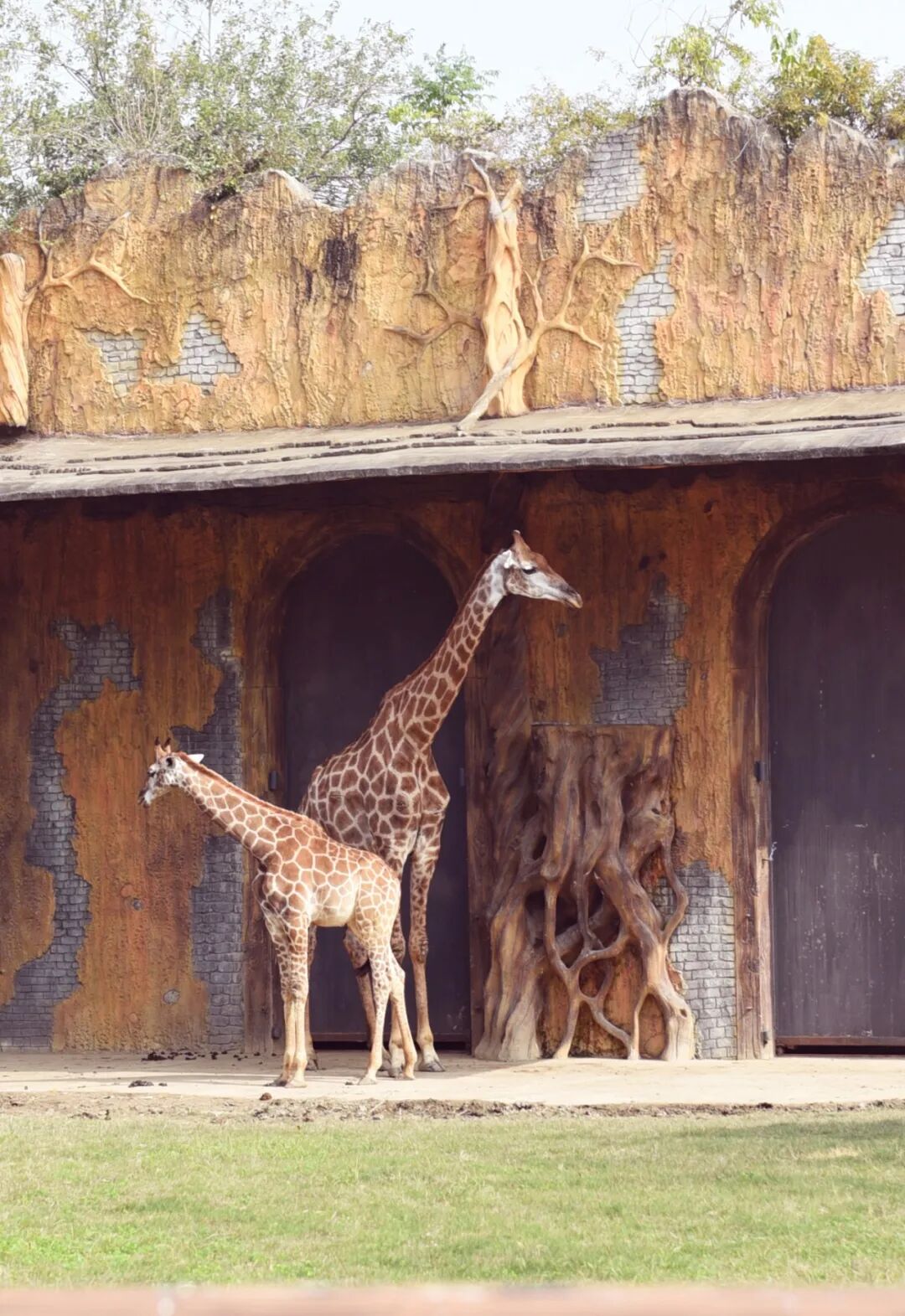 拾趣自然，乐在旷野(图12)