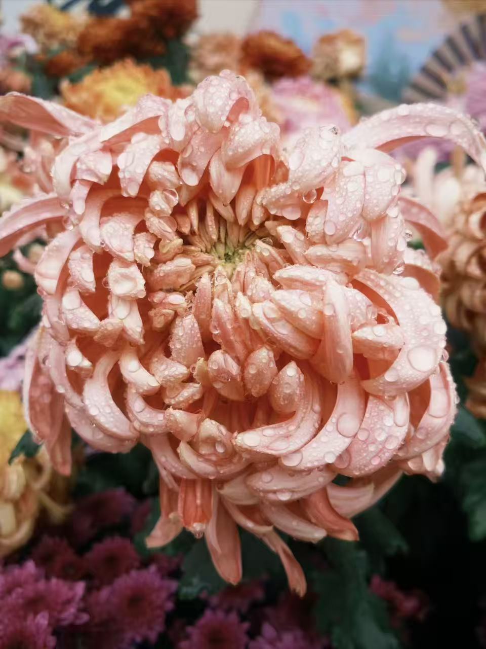 雨润琴音--扬州这场古琴研学太有料!(图5)