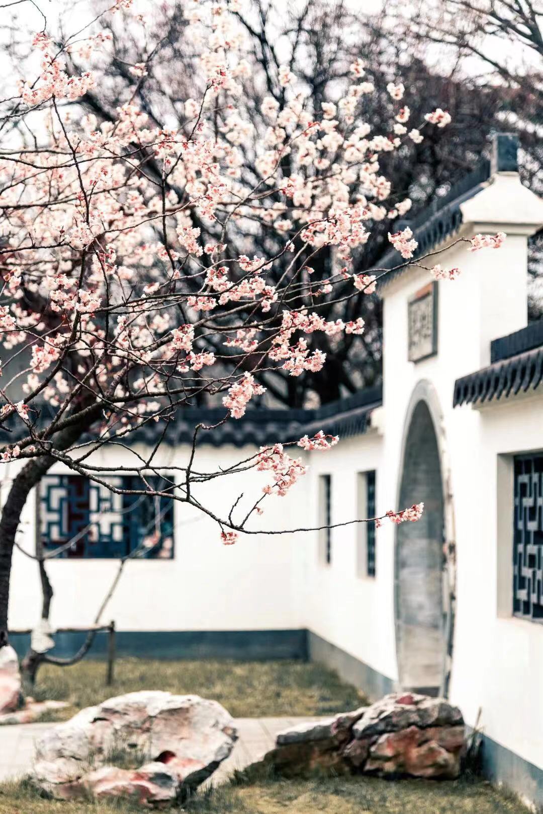 与爱同行，点亮星空(图1)
